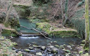 torre-alfina-camminata-sportiva-tuscia-1