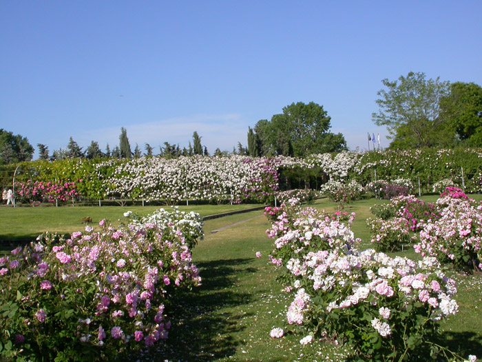 cosa-vedere-a-viterbo-orto-botanico